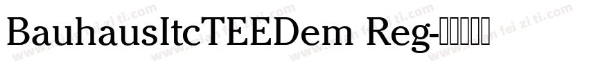 BauhausItcTEEDem Reg字体转换